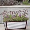 Short Galvanized Self-Watering Trough Planter -Outdoor Garden Care 8594329 5064 tif