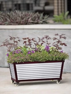 Short Galvanized Self-Watering Trough Planter