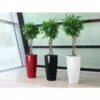 Lechuza® Rondo Self-Watering Planters -Outdoor Garden Care 8594586 01V tif