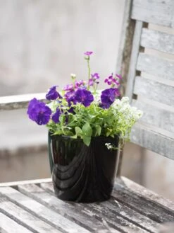 Viva Round Self-Watering Planter, 7" Diameter -Outdoor Garden Care 8595222 1140 tif