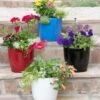Viva Round Self-Watering Planter, 7" Diameter -Outdoor Garden Care 8595222 5302 tif