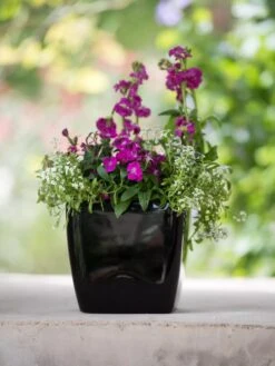 Viva Square Self-Watering Planter, 7" Diameter -Outdoor Garden Care 8595223 1107 tif