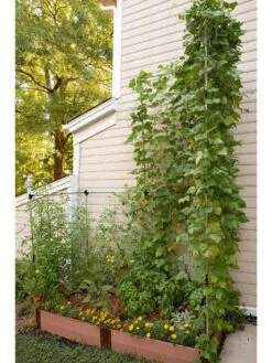 Stack & Extend Veggie Wall 9 Stack & Extend Veggie Wall -Outdoor Garden Care 8595683 07V 3 4