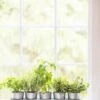 Galvanized Herb Planters With Rectangular Tray -Outdoor Garden Care 8595903 5946 tif