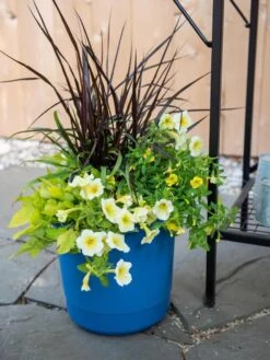 Outdoor Garden Care -Outdoor Garden Care 8596427 0035 tif