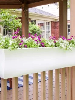 Valencia Window Box, 4' 11 Valencia Window Box, 4' -Outdoor Garden Care 8596437 006V tif