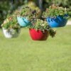 Viva Self-Watering Hanging Basket, 14" Diameter -Outdoor Garden Care 8596442 0851 tif