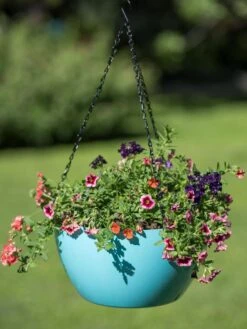 Viva Self-Watering Hanging Basket, 14" Diameter -Outdoor Garden Care 8596442 0859 tif