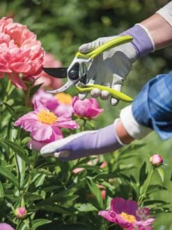 Gardener's Pro Pruner #2 -Outdoor Garden Care 8596605 1261 tif