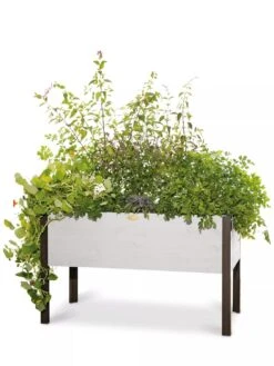 Eco-Stained Elevated Planter Box, 2'x4' 15 Eco-Stained Elevated Planter Box, 2'x4' -Outdoor Garden Care 8596759 3837 tif