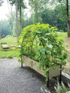 Self-Watering Elevated Planter Box, 2' X 8' -Outdoor Garden Care 8596760 0046 tif