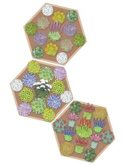 Pollinator Garden Bed 8 Pollinator Garden Bed -Outdoor Garden Care 8597000 Hummingbird Plan tif