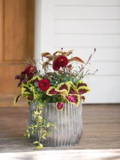 Galvanized Ribbed Planters -Outdoor Garden Care 8597435 1693 tif