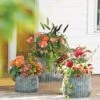 Galvanized Ribbed Planters -Outdoor Garden Care 8597436 1680 tif
