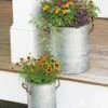 Galvanized Rim Planters -Outdoor Garden Care 8597442 1700 tif