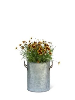 Galvanized Rim Planters -Outdoor Garden Care 8597442 1705 tif