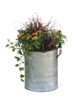 Galvanized Rim Planters -Outdoor Garden Care 8597443 1704 tif