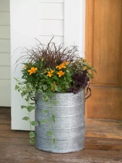 Galvanized Rim Planters -Outdoor Garden Care 8597443 1708 tif