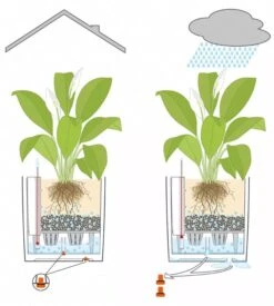 Lechuza® Cube Premium Planters -Outdoor Garden Care 8597506 05V tif
