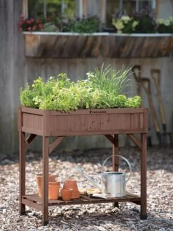 VegTrug® Herb Planter Box 12 VegTrug® Herb Planter Box -Outdoor Garden Care 8598287 00037 tif