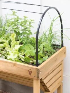 VegTrug® Mini Wallhugger Planter With Cover -Outdoor Garden Care 8598339 4004 tif