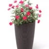 Weave Self-Watering Round Tall Planter, 12-1/2" -Outdoor Garden Care 8598371 3000 tif