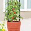 Gardener’s Victory Self-Watering Planter With Support System -Outdoor Garden Care 8598384 6012 tif 1
