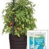 Gardener’s Victory Self-Watering Planter Garden Kit -Outdoor Garden Care 8598389 5000 tif