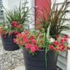 Gardener’s Victory Self-Watering Patio Planter -Outdoor Garden Care 8598395 4390 tif