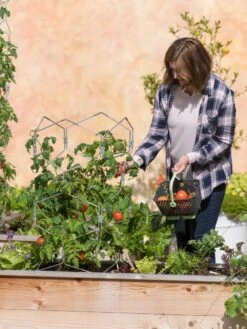 Gardener's Vertex Lifetime Tomato Cage -Outdoor Garden Care 8598426 0026 tif