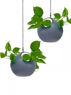 Exaco Euro Hanging Planters, Set Of 2 -Outdoor Garden Care 8599179 04V tif