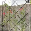 Achla Designs Freestanding Lattice Trellis 2 Achla Designs Freestanding Lattice Trellis -Outdoor Garden Care 8599475 01V tif