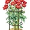 Titan Peony Supports, Medium, Set Of 2 -Outdoor Garden Care 8599858 0001 art tif
