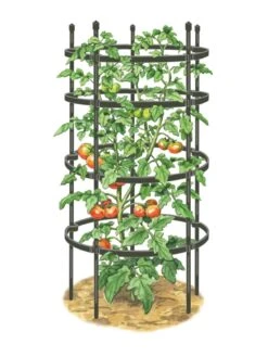 Titan Tomato Cages, Set Of 3 13 Titan Tomato Cages, Set Of 3 -Outdoor Garden Care 8599861 0001 art tif