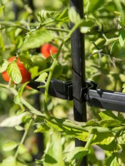 Titan Tomato Cages, Set Of 3 15 Titan Tomato Cages, Set Of 3 -Outdoor Garden Care 8599861 0079 tif 1