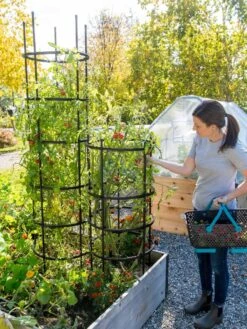 Titan Tomato Cages, Set Of 3 11 Titan Tomato Cages, Set Of 3 -Outdoor Garden Care 8599861 0114 tif