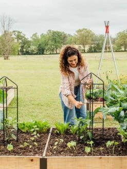 Zenith Folding Garden Supports, Set Of 2 -Outdoor Garden Care 8600073 324 tif