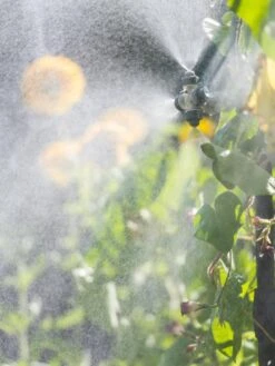 Landscape 4-Way Cooling Mist Kit, 50' -Outdoor Garden Care 8600154 0695 tif