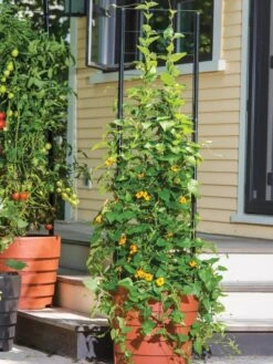 Gardener’s Victory Self-Watering Planter Garden With Vine Trellis -Outdoor Garden Care 8600175 0733 tif
