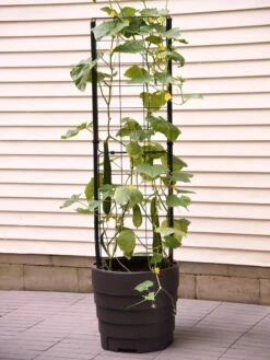Gardener’s Victory Self-Watering Planter Garden With Vine Trellis -Outdoor Garden Care 8600177 9876 tif
