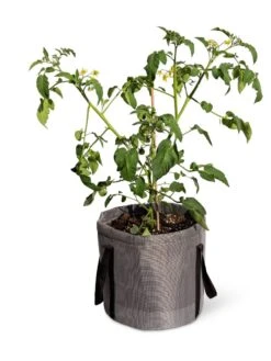 Reinforced Colorful Grow Bags 13 Reinforced Colorful Grow Bags -Outdoor Garden Care 8600229 0944 tif