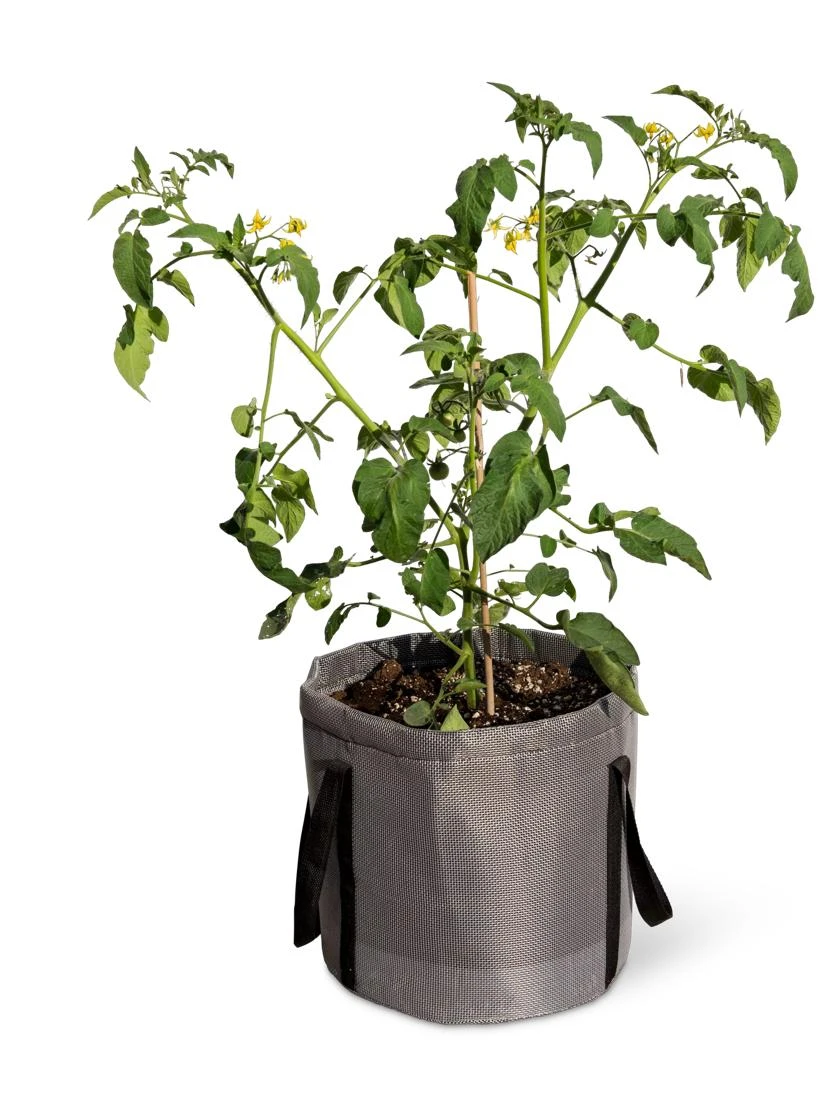 Reinforced Colorful Grow Bags 8 Reinforced Colorful Grow Bags - Image 6