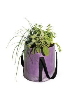 Reinforced Colorful Grow Bags 10 Reinforced Colorful Grow Bags -Outdoor Garden Care 8600230 0948 tif