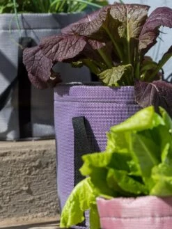 Reinforced Colorful Grow Bags 11 Reinforced Colorful Grow Bags -Outdoor Garden Care 8600230 20013 tif