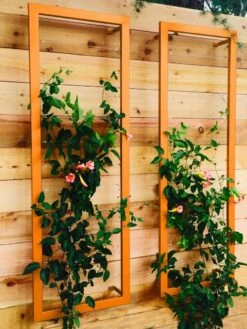 Ina Modern Wall Trellis Sr. -Outdoor Garden Care 8600510 04V tif
