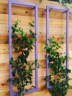 Ina Modern Wall Trellis Sr. -Outdoor Garden Care 8600510 07V tif