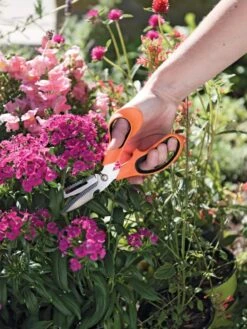 Gardener's Multi Purpose Scissors -Outdoor Garden Care 8608655 19551 tif