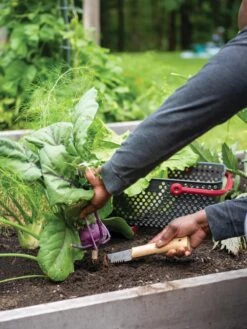 Gardener's Lifetime Hori Hori Knife -Outdoor Garden Care 8608888 0422 tif