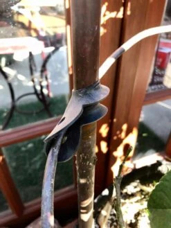 Garden Cane Connects, Set Of 6 8 Garden Cane Connects, Set Of 6 -Outdoor Garden Care 8609019 03V tif