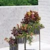Galvanized Grow Bag Triple Planters With Stand -Outdoor Garden Care 8609180 0346 tif